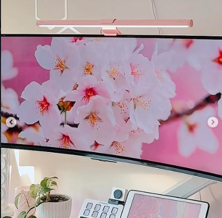 Curved monitor setup with pink light bar